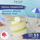 Polar Puff & Cakes - $5 Summer Melon Mousse Cup