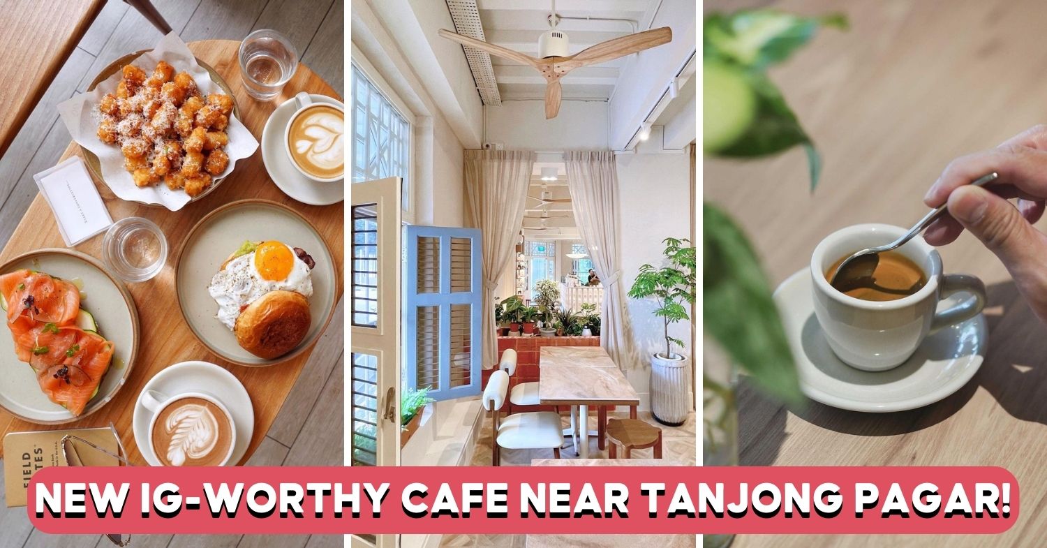 The Glasshouse Opens On Neil Road, The Popular Cafe’s Second Outlet