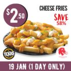 Texas Chicken - $2.50 Cheese Fries