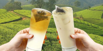 AtTea - 1 FOR 1 Mingjian Oolong Tea - Singapore Promo