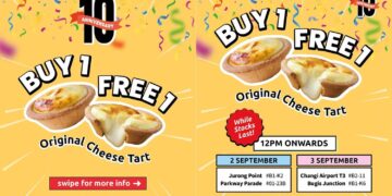 Hokkaido Baked Cheese Tart - 1-FOR-1 Original Cheese Tarts - Singapore Promo